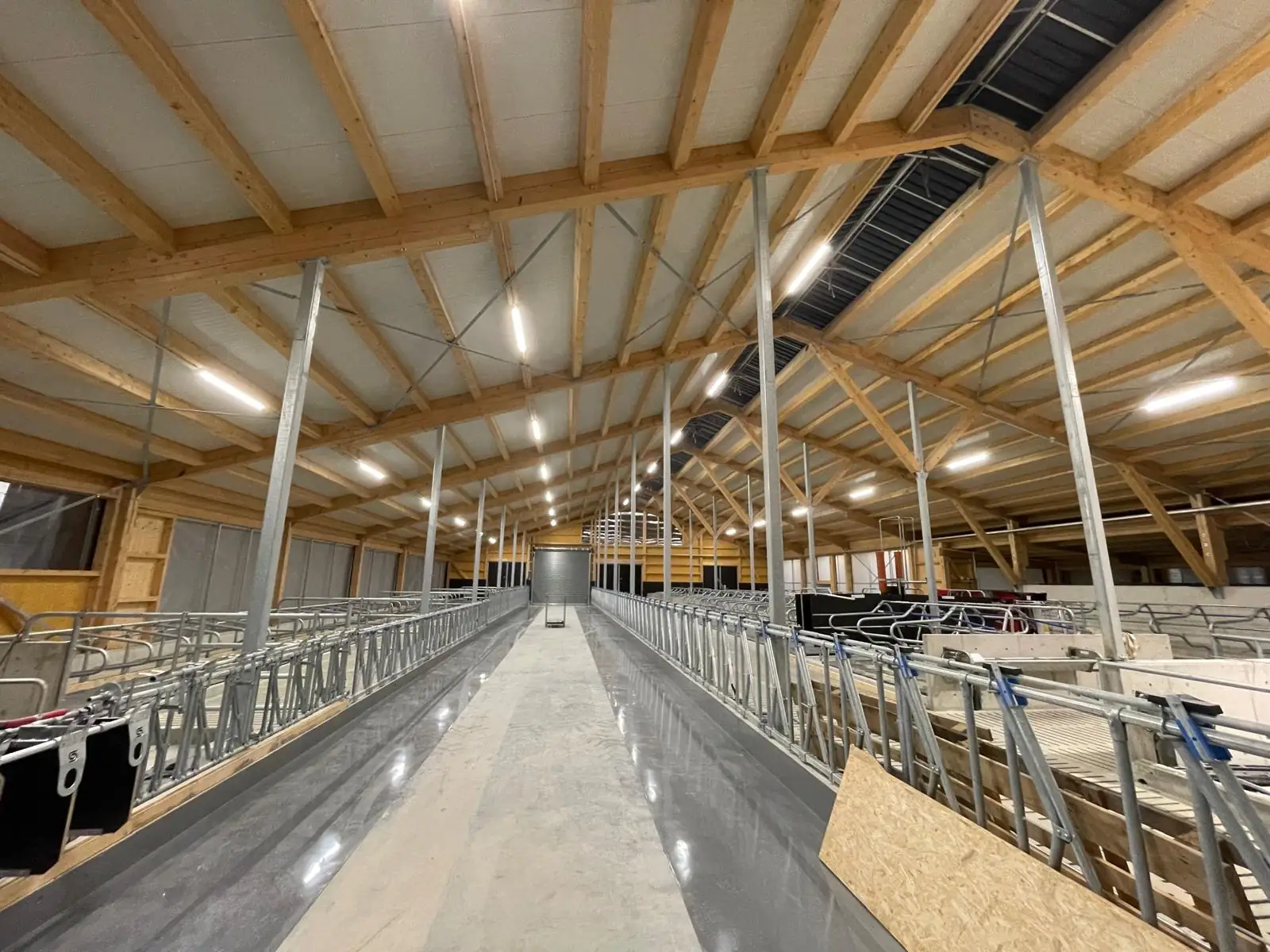 Große Holzhalle mit Beleuchtung und Elektroinstallation