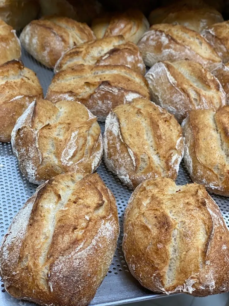 Frisch gebackene Semmeln auf einem Backblech der Bäckerei in Ingenried