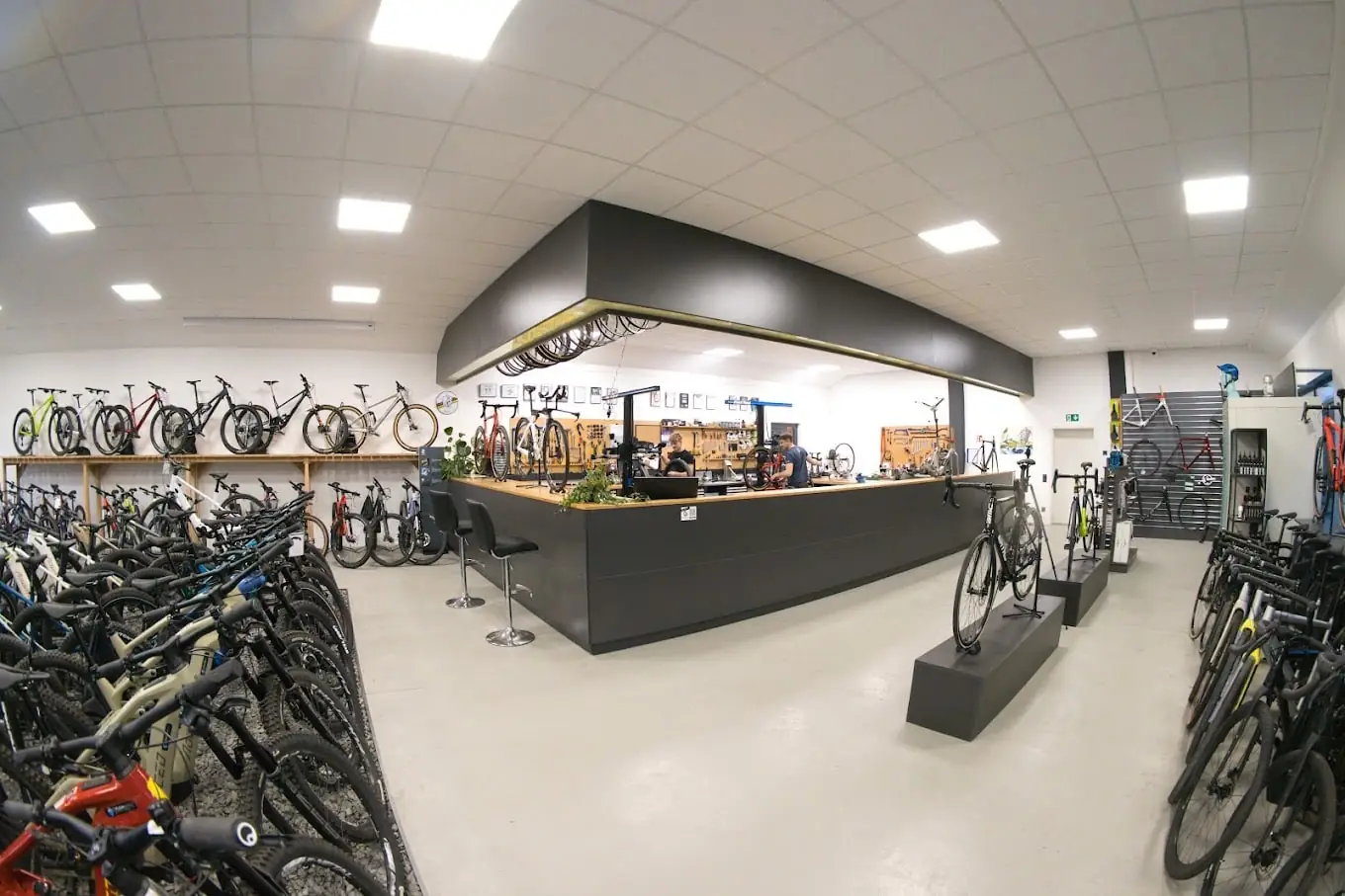 Verkaufsraum von Flow Bikes in Ingenried mit Flächenleuchten, Theke und Fahrrädern