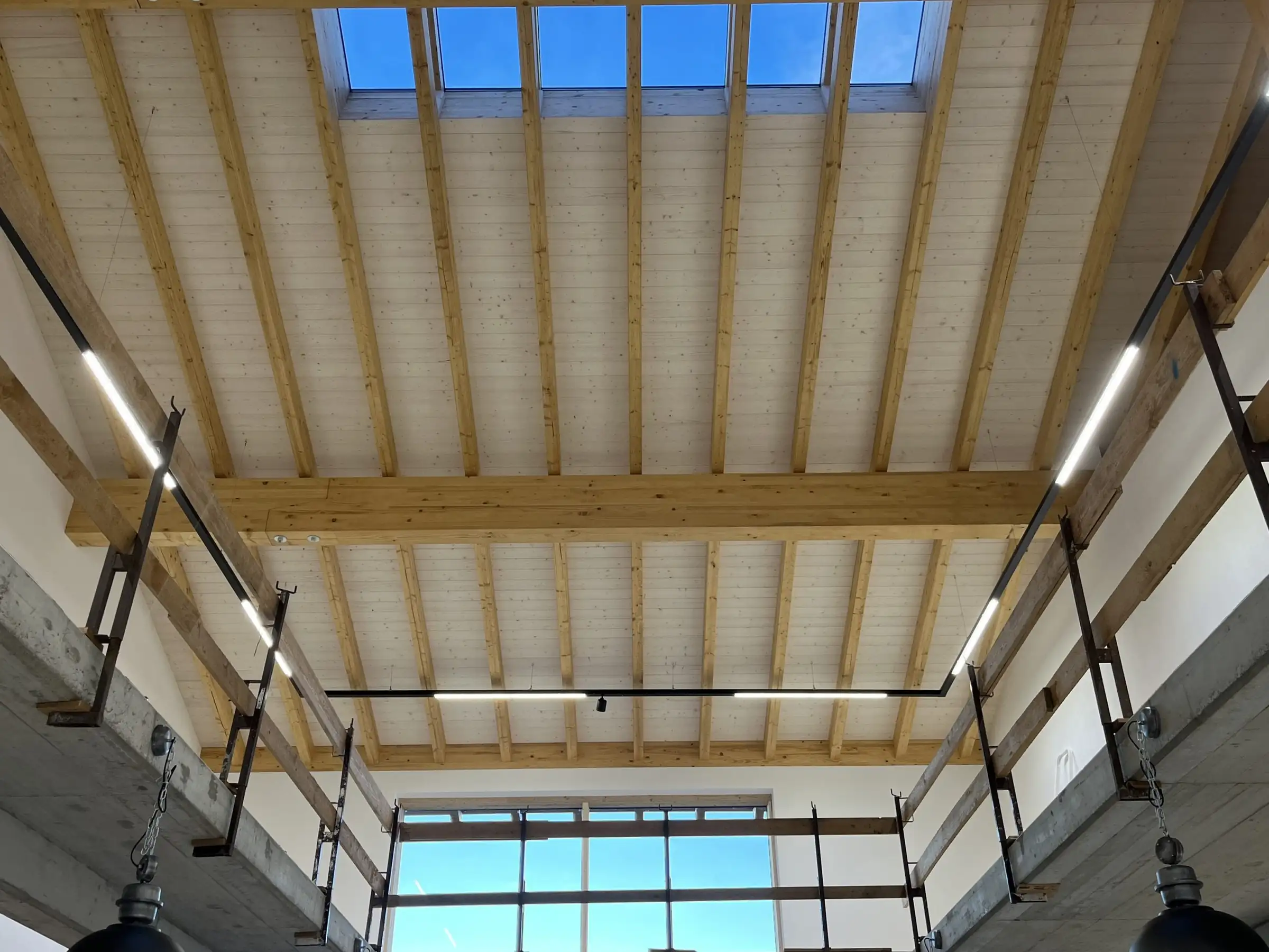 Holzdecke mit Oberlichtern und Lichtbändern an Stahlschienen im Fahrradladen Tretlager