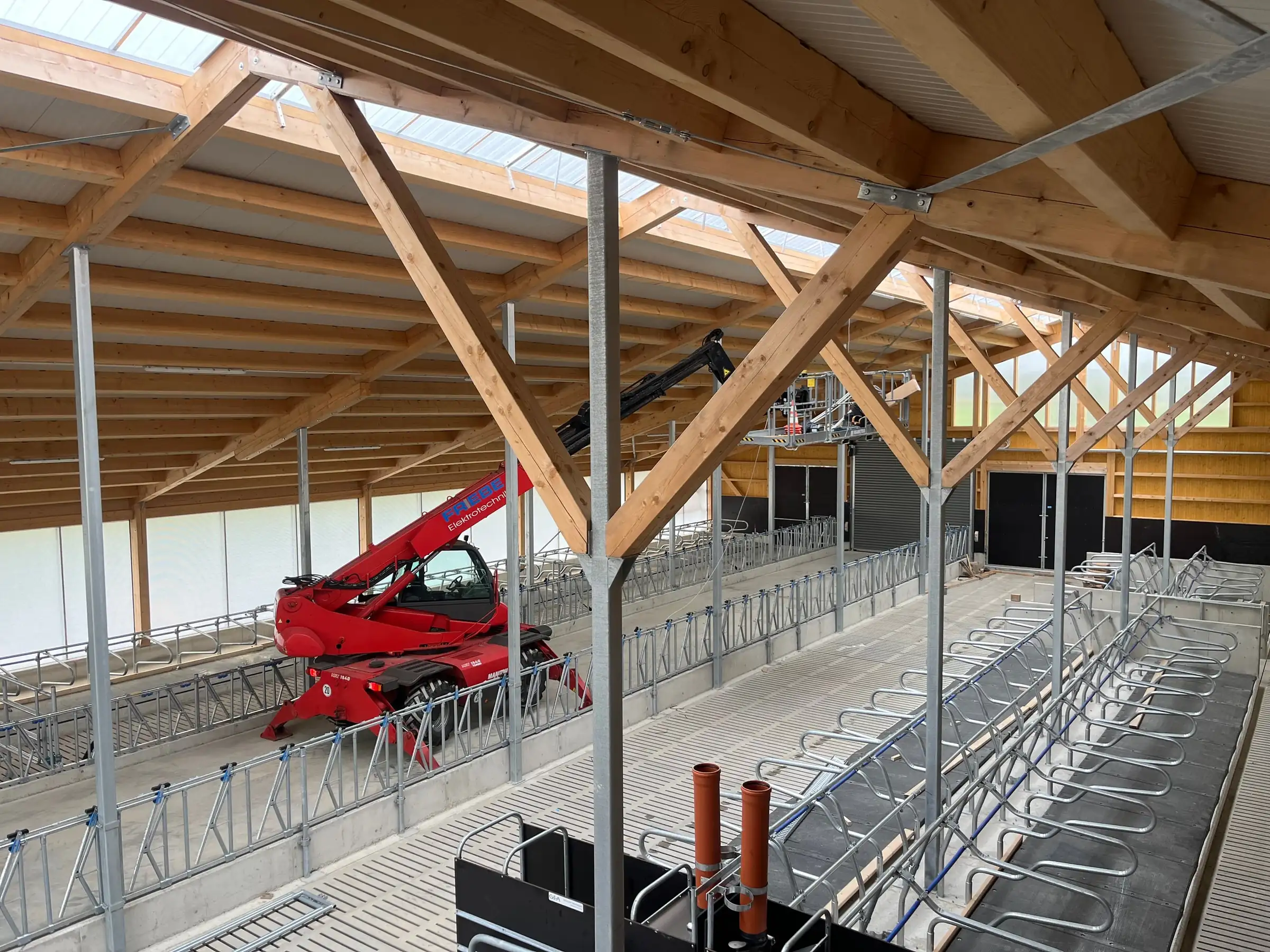 Neuer Laufstall mit Holzdachstuhl, Fressgittern und Teleskoplader während der Elektroinstallation